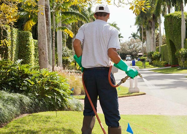 About Hines IL Pest Control